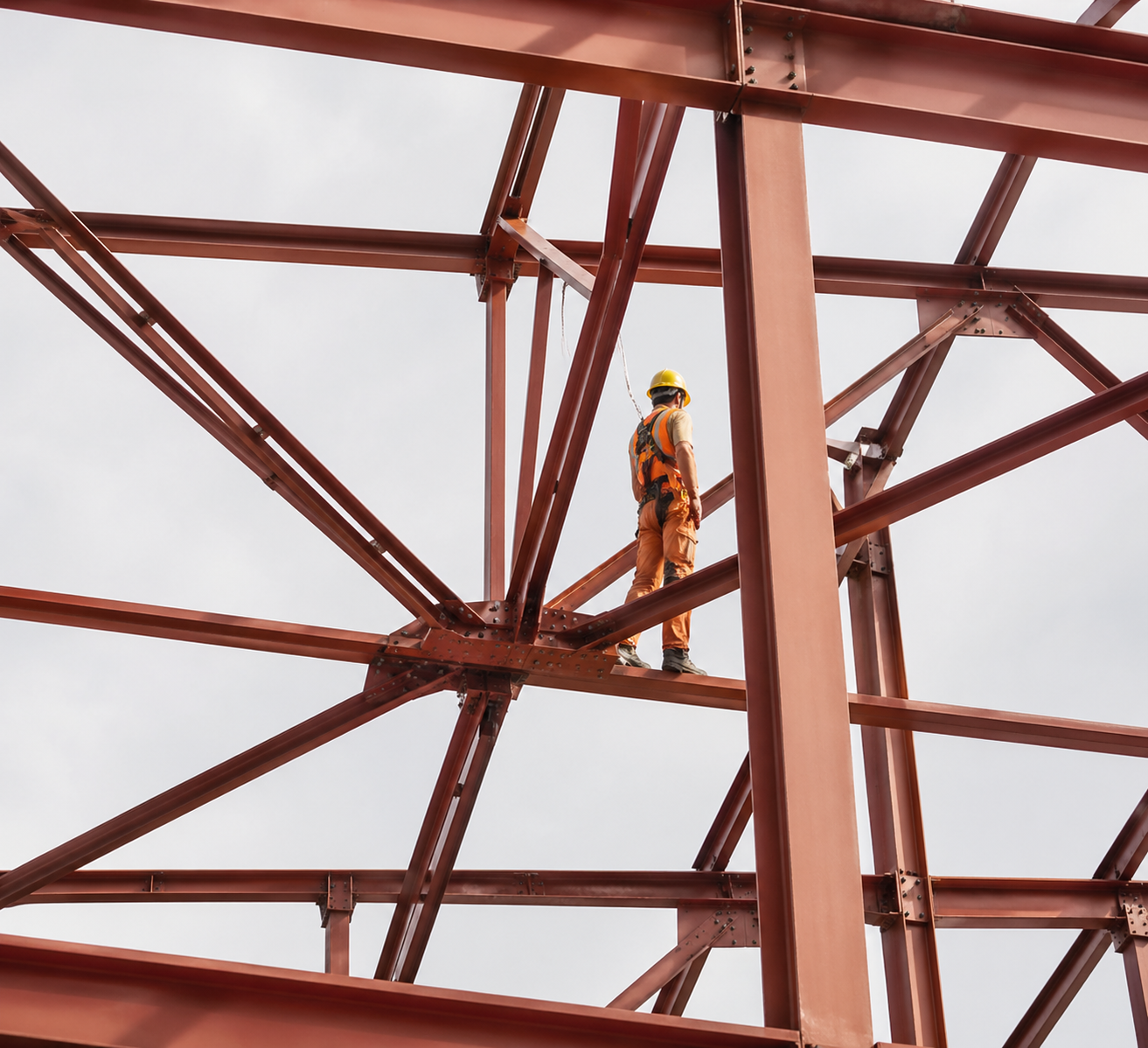 Project Gallery Image